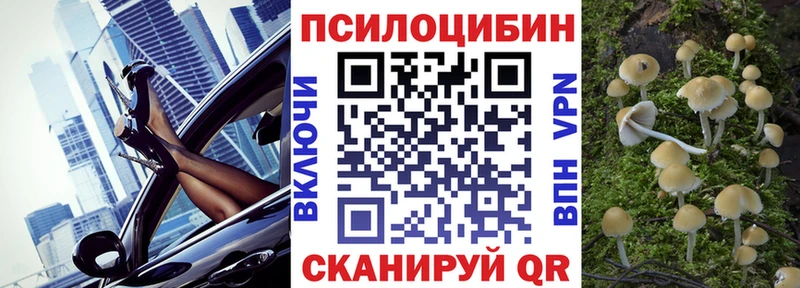 Галлюциногенные грибы Cubensis  блэк спрут ONION  Сургут 