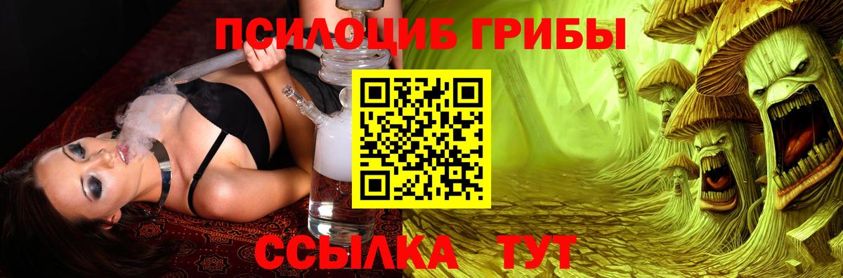 Сургут  Псилоцибиновые грибы мицелий  Галлюциногенные грибы Psilocybe  Вход с VPN 