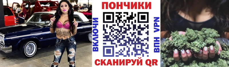 Бошки Шишки ГИДРОПОН  Сургут 